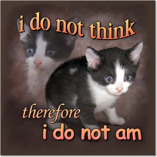Cat Meme Posters and Art